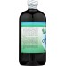 WORLD ORGANIC: Liquid Chlorophyll 100mg 16 oz