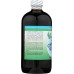 WORLD ORGANIC: Liquid Chlorophyll Mint 50 mg 16 oz