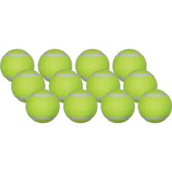 Economy Practice Tennis Balls  - Case of 120