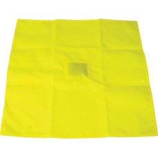Penalty Flag