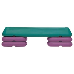 Circuit Step - Teal & Purple