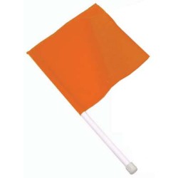 Hand-Held Flag - Orange